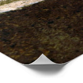 Poster Beauté de bronze (Coin)