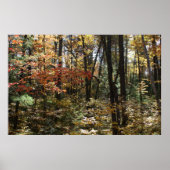 Poster Beauté de Deep Woods (Devant)