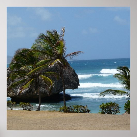 Poster Beauté de la Barbade (Devant)