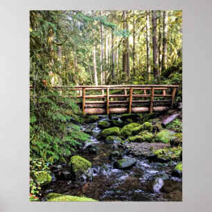 Poster Beauté de la luxure // Eaux paisibles