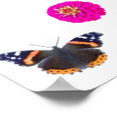 Poster Beauté De La Nature (Coin)