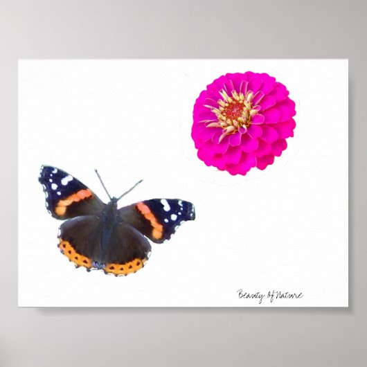 Poster Beauté De La Nature (Devant)