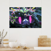 Poster Beauté de papillon (Cuisine)