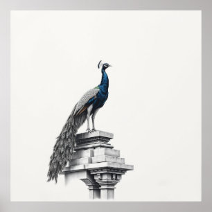 Poster Beauté de Regal : Peacock Art