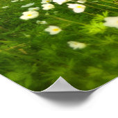 Poster Beauté des cendres (Coin)