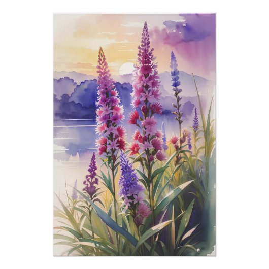 Poster Beauté des étoiles (Devant)