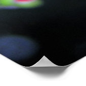 Poster Beauté des papillons (Coin)