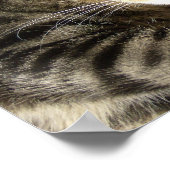 Poster Beauté dormante (Coin)