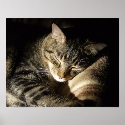 Poster Beauté dormante (Devant)