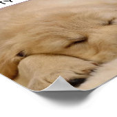 POSTER BEAUTÉ DORMIÈRE (Coin)