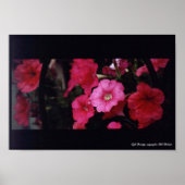 Poster Beauté du café (Devant)