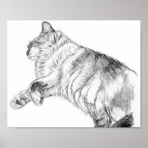 Poster Beauté du sommeil