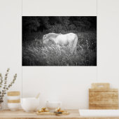 Poster Beauté en noir et blanc (Cuisine)