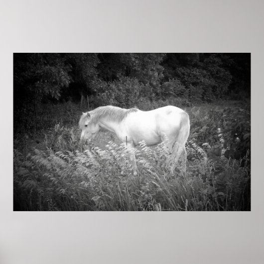 Poster Beauté en noir et blanc (Devant)