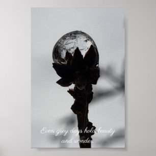 Poster Beauté et émerveillement goutte de pluie gelée