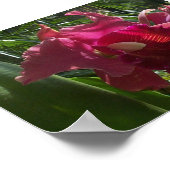 Poster Beauté exotique (2) (Coin)