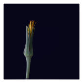 Poster Beauté florale cachée (Devant)