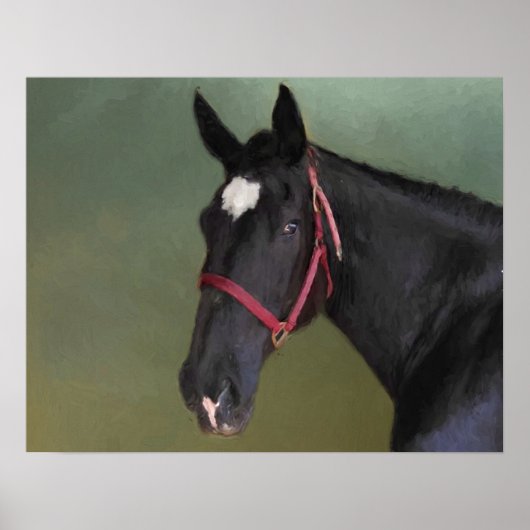 Poster Beauté noire (Devant)