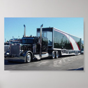 Poster Beauté noire