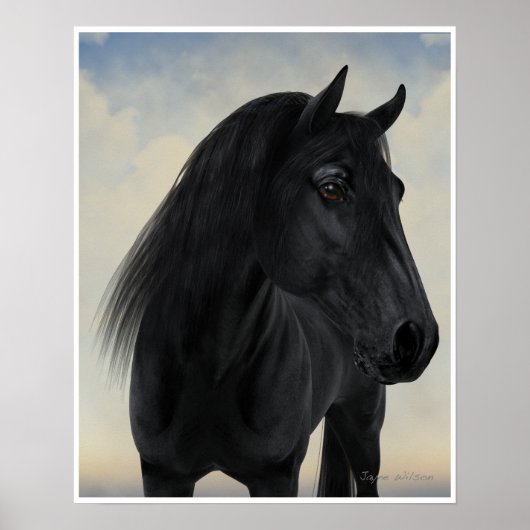 Poster Beauté noire - Portrait de Cheval friésien noir (Devant)