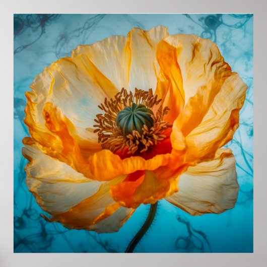 Poster Beauté Orange (Devant)