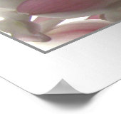 Poster Beauté pâle de l'orchidée (Coin)