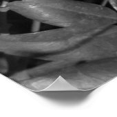 Poster Beauté passionnante (Coin)