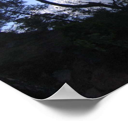 POSTER BEAUTÉ PITTORESQUE (Coin)