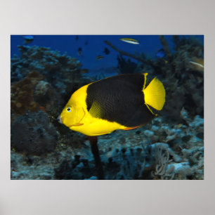 Poster Beauté rocheuse