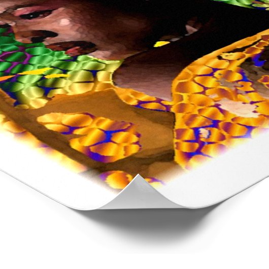 Poster Beauté Royale D'Afrique (Coin)