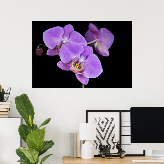 Poster Beauté tropicale (Bureau à domicile)