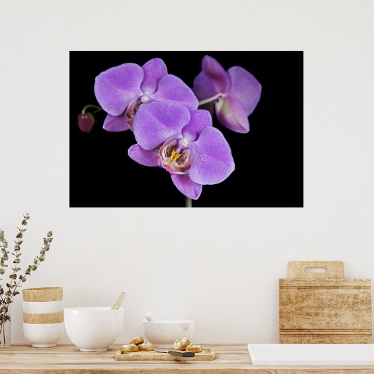 Poster Beauté tropicale (Cuisine)