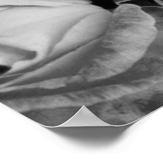 Poster Beauté unique (Coin)