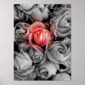 Poster Beauté unique (Devant)