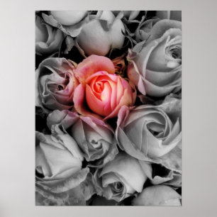 Poster Beauté unique