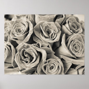 Poster Beauté Velours Vintage