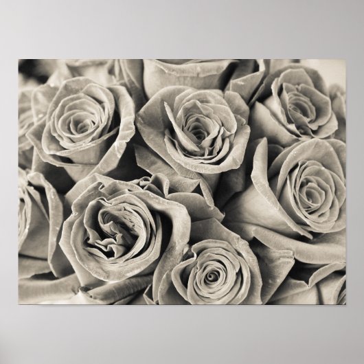 Poster Beauté Velours Vintage (Devant)