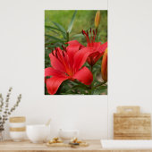 Poster beauté vibrante - par W. Michael Ley - ... (Cuisine)