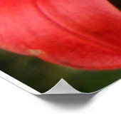 Poster beauté vibrante - par W. Michael Ley - ... (Coin)