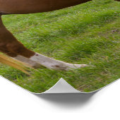 Poster Beautés de bain (Coin)