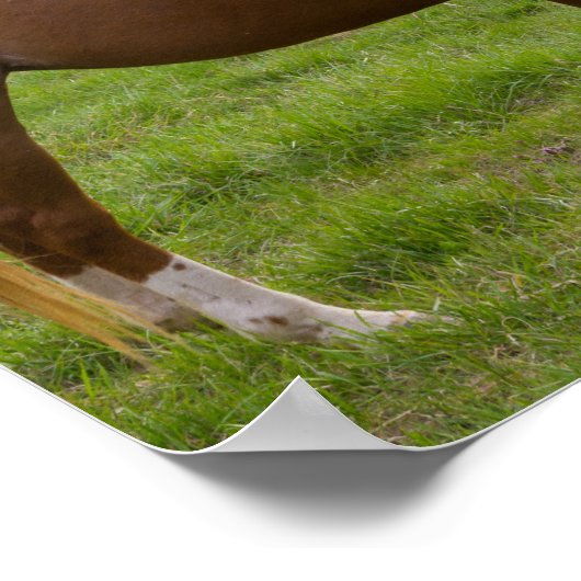 Poster Beautés de bain (Coin)