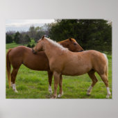 Poster Beautés de bain (Devant)