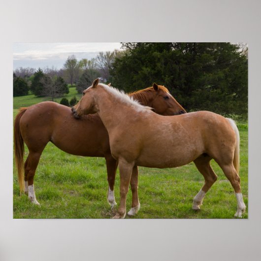 Poster Beautés de bain (Devant)