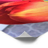 Poster Beautiful (Coin)