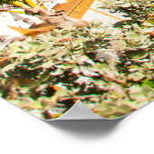 Poster Beautiful (Coin)