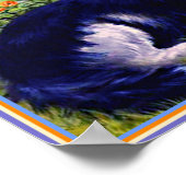 Poster Beautiful Cat, named Peter, Louis Wain famous Pet, (Coin)