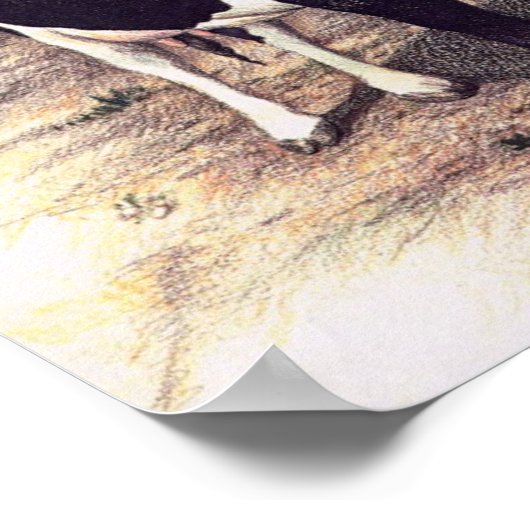 Poster 'Beautiful Creamer' (Coin)