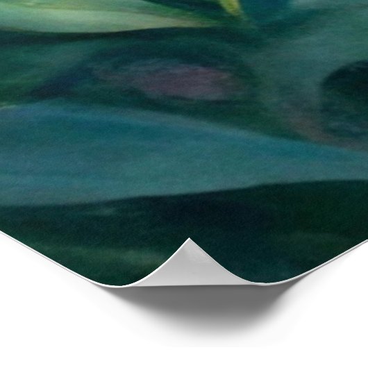 Poster Beautiful Fairy (Coin)