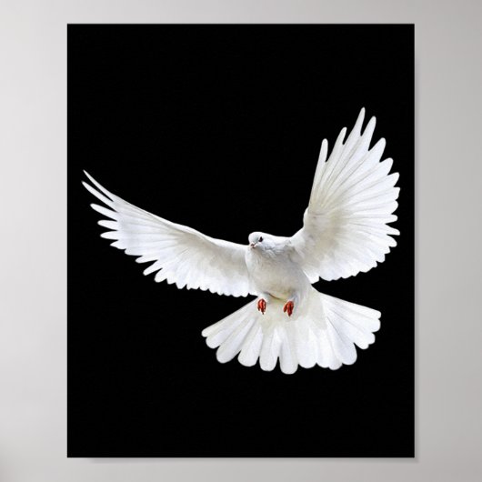 Poster Beautiful Flying Peaceful White Dove Photo Silhoue (Devant)