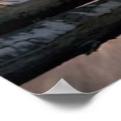 Poster Beautiful Horse (Coin)